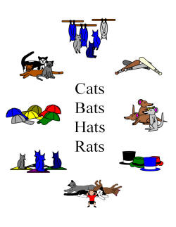 Cats Bats Hats Rats