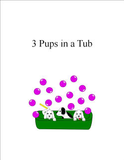 3 Pups in a Tub
