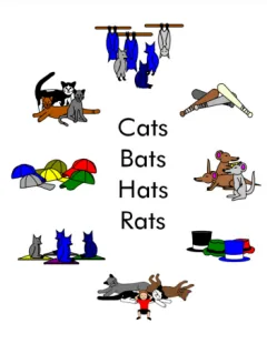 Cats Bats Hats Rats